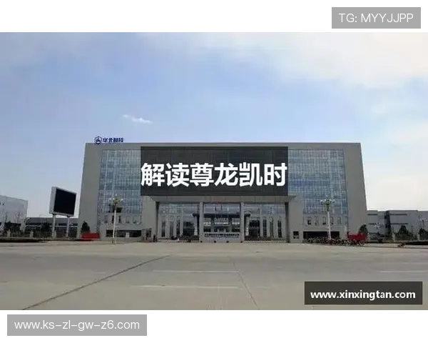 尊龙凯时网娱乐app常见问题解决方案及用户体验优化建议全面解析